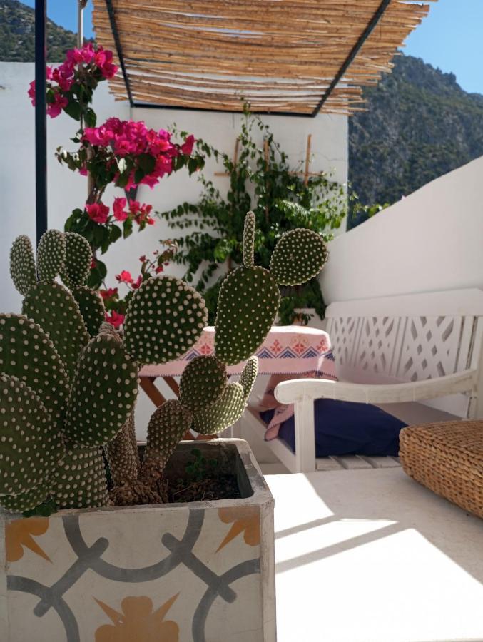 Dar Sbaa Bed and Breakfast Chefchaouen Εξωτερικό φωτογραφία