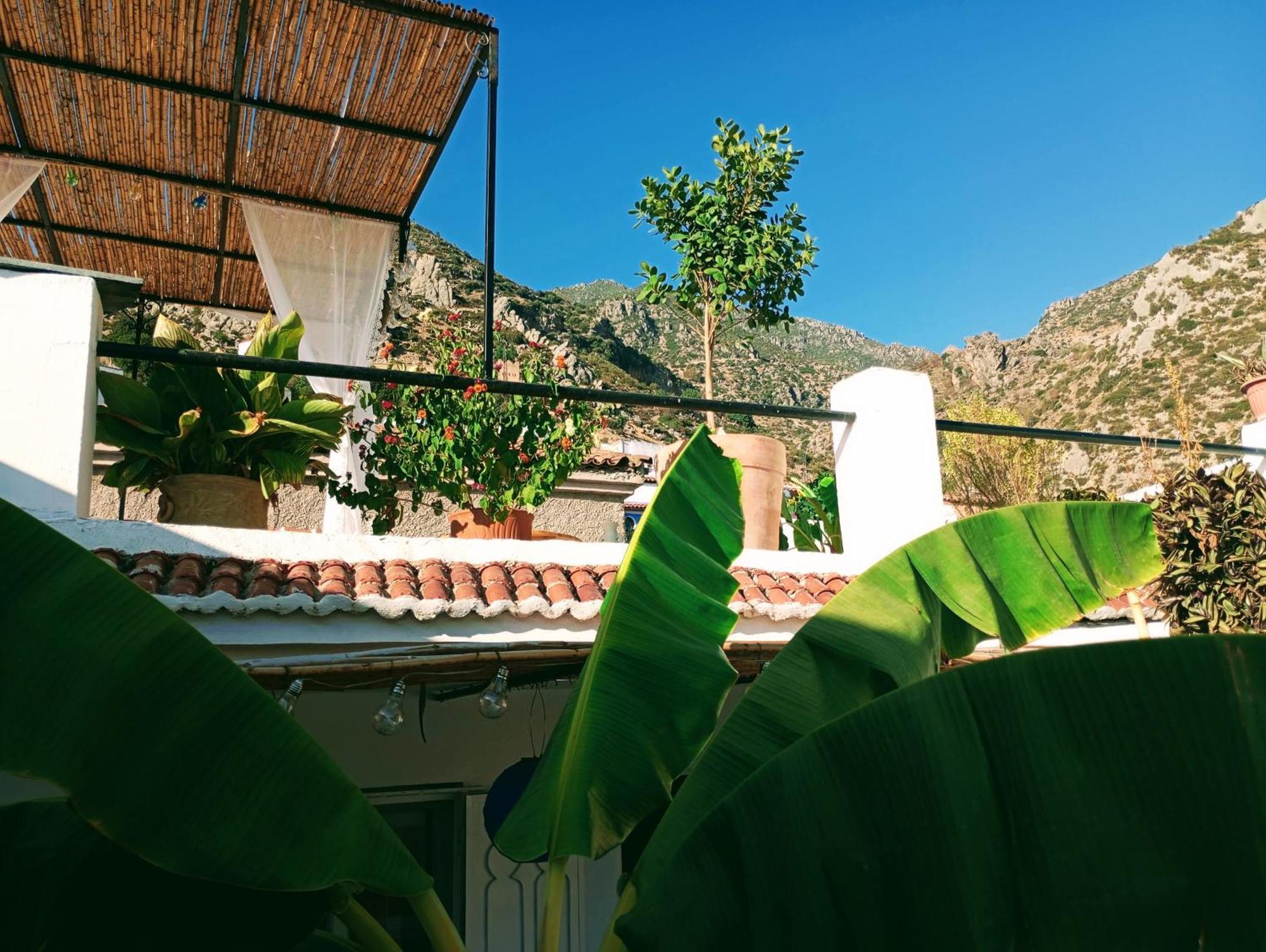 Dar Sbaa Bed and Breakfast Chefchaouen Εξωτερικό φωτογραφία